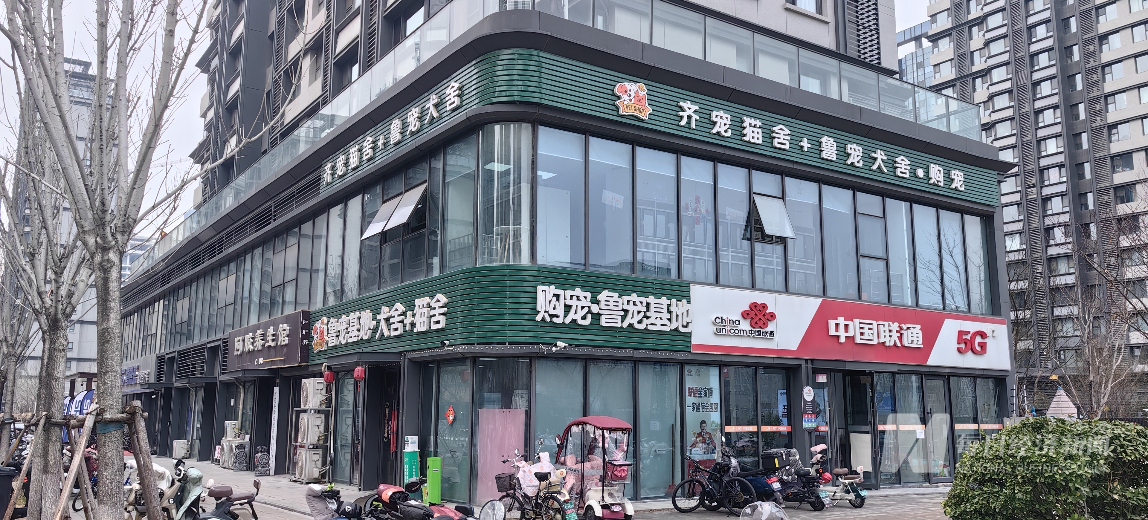中药宠物从“吃饱”转型“吃好” 国产品牌崛起驱动万亿元市场ky开元棋牌“2025 宠物消费·智享未来报告”｜狗粮也加(图1)