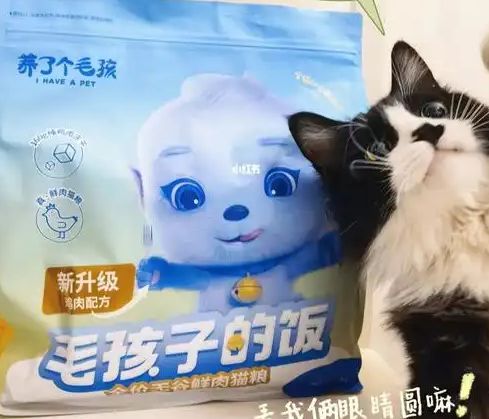 粮！三只松鼠靠什么重返宠物食品赛道开元棋牌app零食巨头盯上毛孩子口(图3)