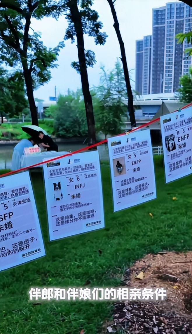 豪车法拉利接亲外国小伙乐坏了开元棋牌富婆给狗办婚礼送豪宅(图11)