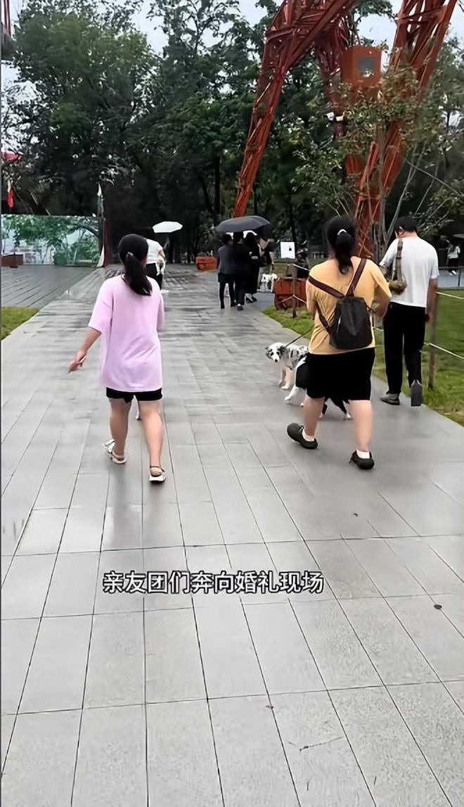 豪车法拉利接亲外国小伙乐坏了开元棋牌富婆给狗办婚礼送豪宅(图12)